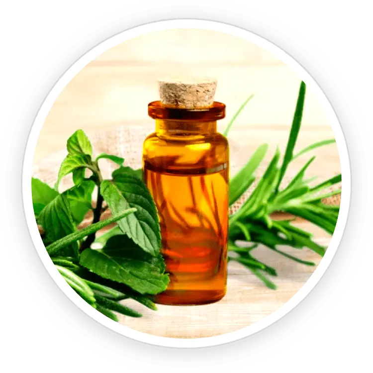 kerassentials discount