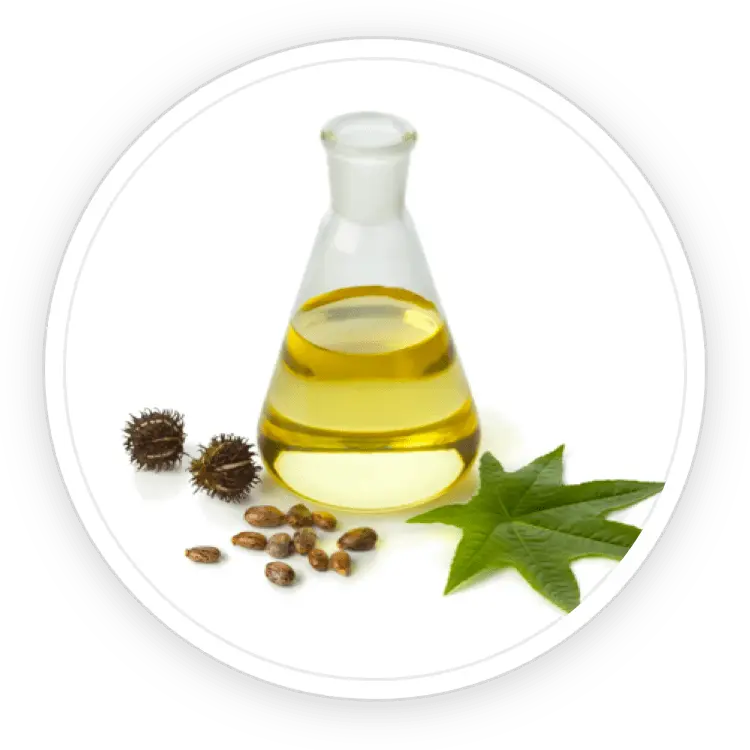 kerassentials official website